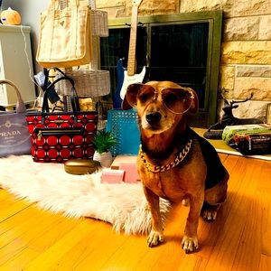 Meet your Posher, Marialyn